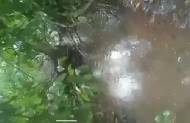 Fazenda para venda em Floriano